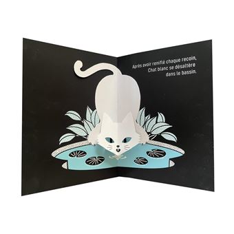 Chat blanc