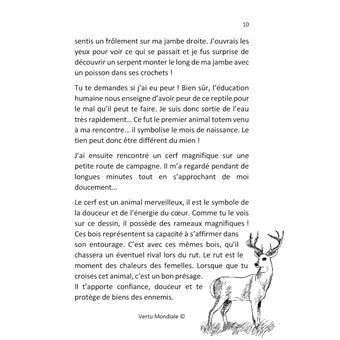 Les Lois Universelles expliquées aux enfants