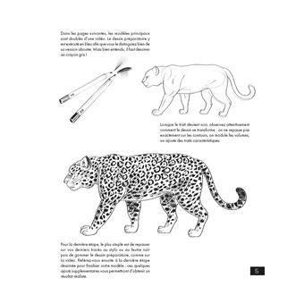 Le dessin facile en vidéos Animaux