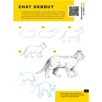 Le dessin facile en vidéos Animaux