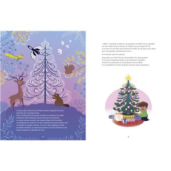 24 histoires du Père Noël