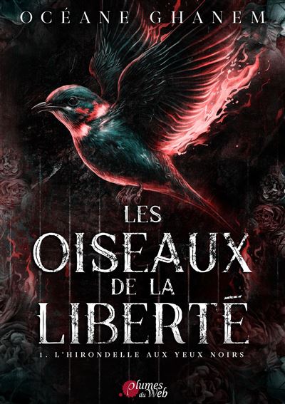 Les Oiseaux De La Liberté - Tome 1 : L'Hirondelle aux yeux noirs