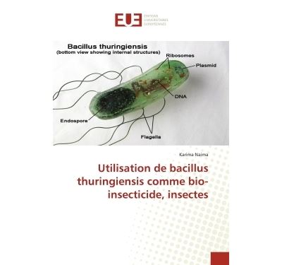 Utilisation de bacillus thuringiensis comme bio-insecticide,