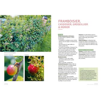 Un potager productif et naturel