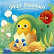 Petit Poussin cherche sa maman