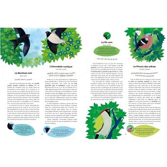 Ecoute les oiseaux (édition 2022)