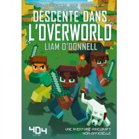 Descente dans l'overworld