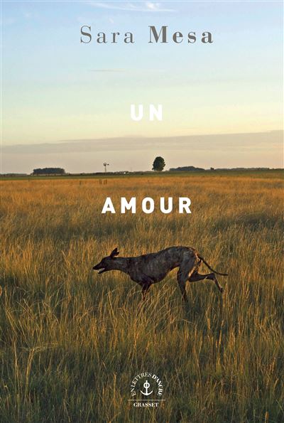 Un amour - Sara Mesa - broché