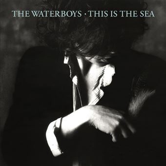 The Waterboys - 1