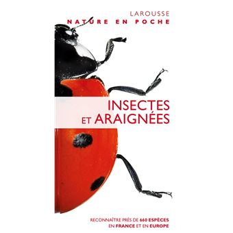 Coccinelle – Média LAROUSSE