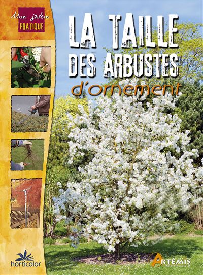 Taille des arbustes d'ornement