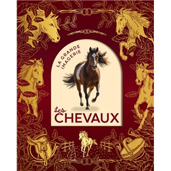Les chevaux