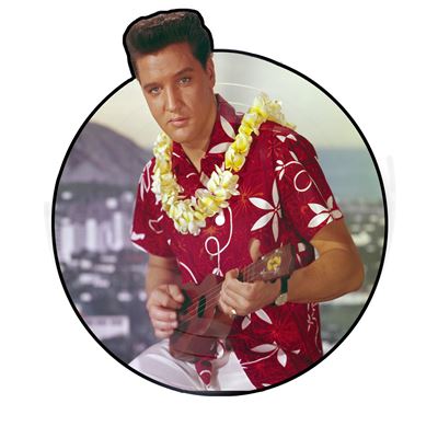 Boucle De Ceinture Vintage Hawaii 1979 - Édition Limitée J.A.B., Occasion Bon État