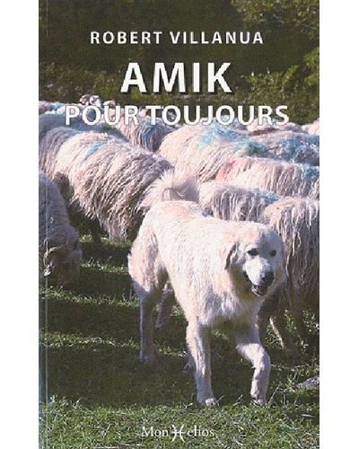 Amik pour toujours