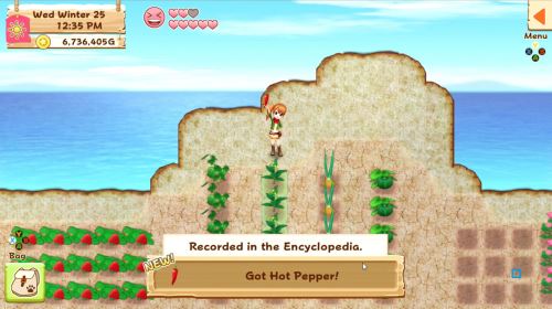 Harvest Moon Lumière d'Espoir Edition Speciale Complète PS4 - Jeux vidéo - Achat & prix Harvest Moon Lumière d'Espoir Edition Speciale Complète PS4 - Jeux vidéo - Achat & prix