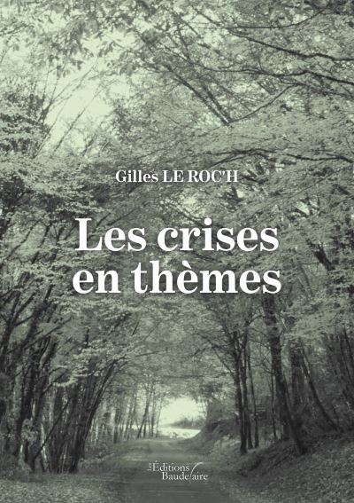 Les crises en themes