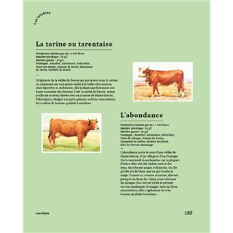 Le bon savoir du fromage