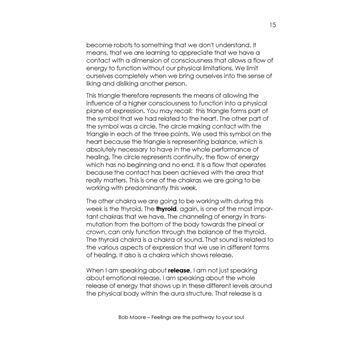 Feelings are the pathway to your soul