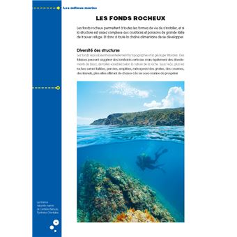 Les fiches pratiques de la plongée