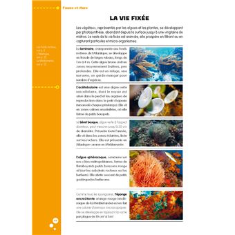 Les fiches pratiques de la plongée