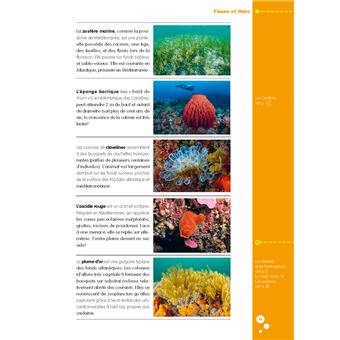 Les fiches pratiques de la plongée