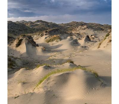 Dune worship