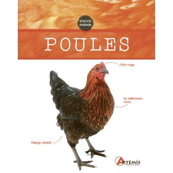 Poules