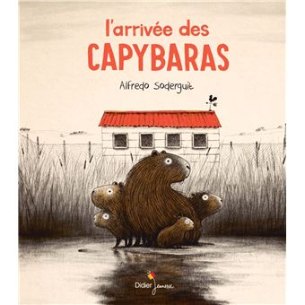 L'arrivée des Capybaras - 1