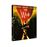 The Woods Blu-ray