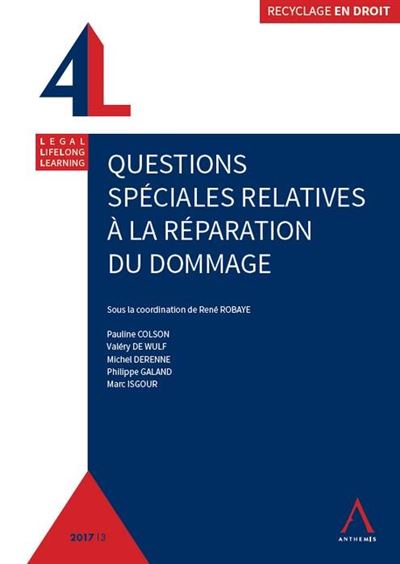 Questions speciales relatives a la reparation du dommage - René Robaye - broché