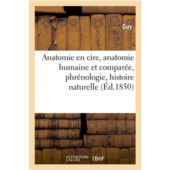 Anatomie en cire, anatomie humaine et comparée, phrénologie, histoire naturelle