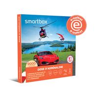 SMARTBOX - Coffret Cadeau Séjour au Puy du Fou 2025 - 2 jours et 1 nuit à l'hôtel Le Grand Siècle 2 adultes - Séjour - La Poste Pro