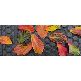 Du platane au gingko
