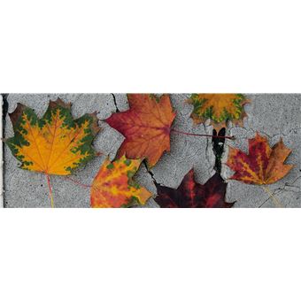Du platane au gingko