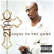 Loyal To The Game