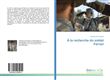 A la recherche du soldat Ferrari