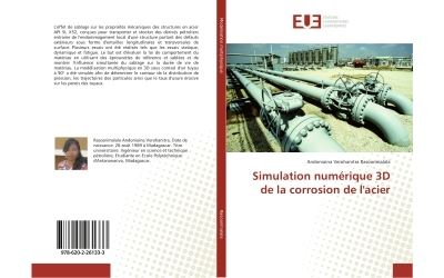 Simulation numerique 3d de la corrosion de l'acier