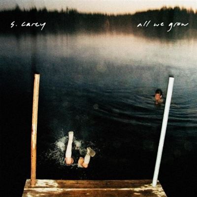 All We Grow 10 Years Anniversary Vinyle Translucide