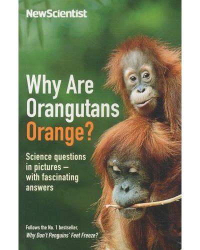 WHY ARE ORANGUTANS ORANGE?