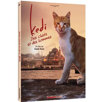 Kedi : Des chats et des hommes Edition Simple DVD - 1