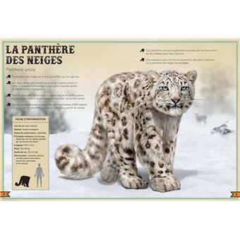 Le Livre extraordinaire des animaux en danger