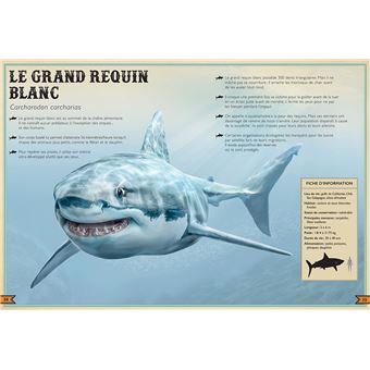 Le Livre extraordinaire des animaux en danger