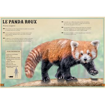 Le Livre extraordinaire des animaux en danger