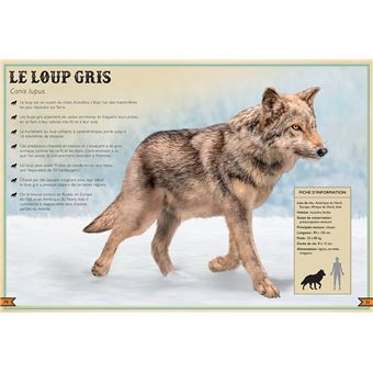 Le Livre extraordinaire des animaux en danger