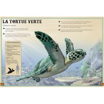 Le Livre extraordinaire des animaux en danger