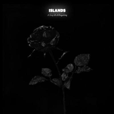 SLEEP AND A FORGETTING/LP