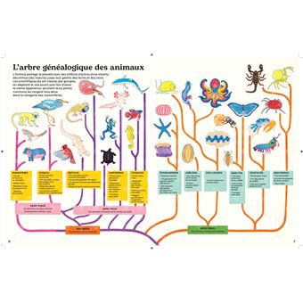 Le Kaléidoscope des animaux