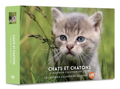 Calendrier La Poste 2022 : Chatons - Calendrier