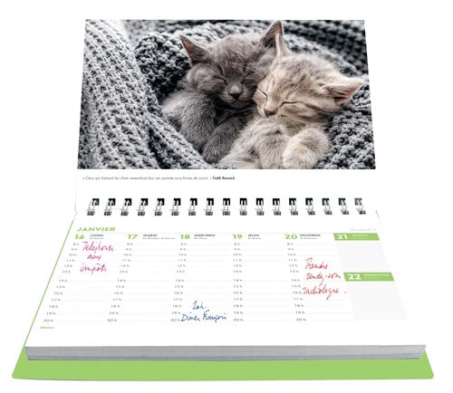 Calendrier mural drôles de chats 2024 - broché - Collectif, Livre tous les  livres à la Fnac