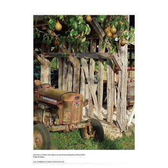 Pommes et cidre en pays d'Othe